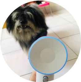 Laifen hair dryer reviews: Laifen Swift Special