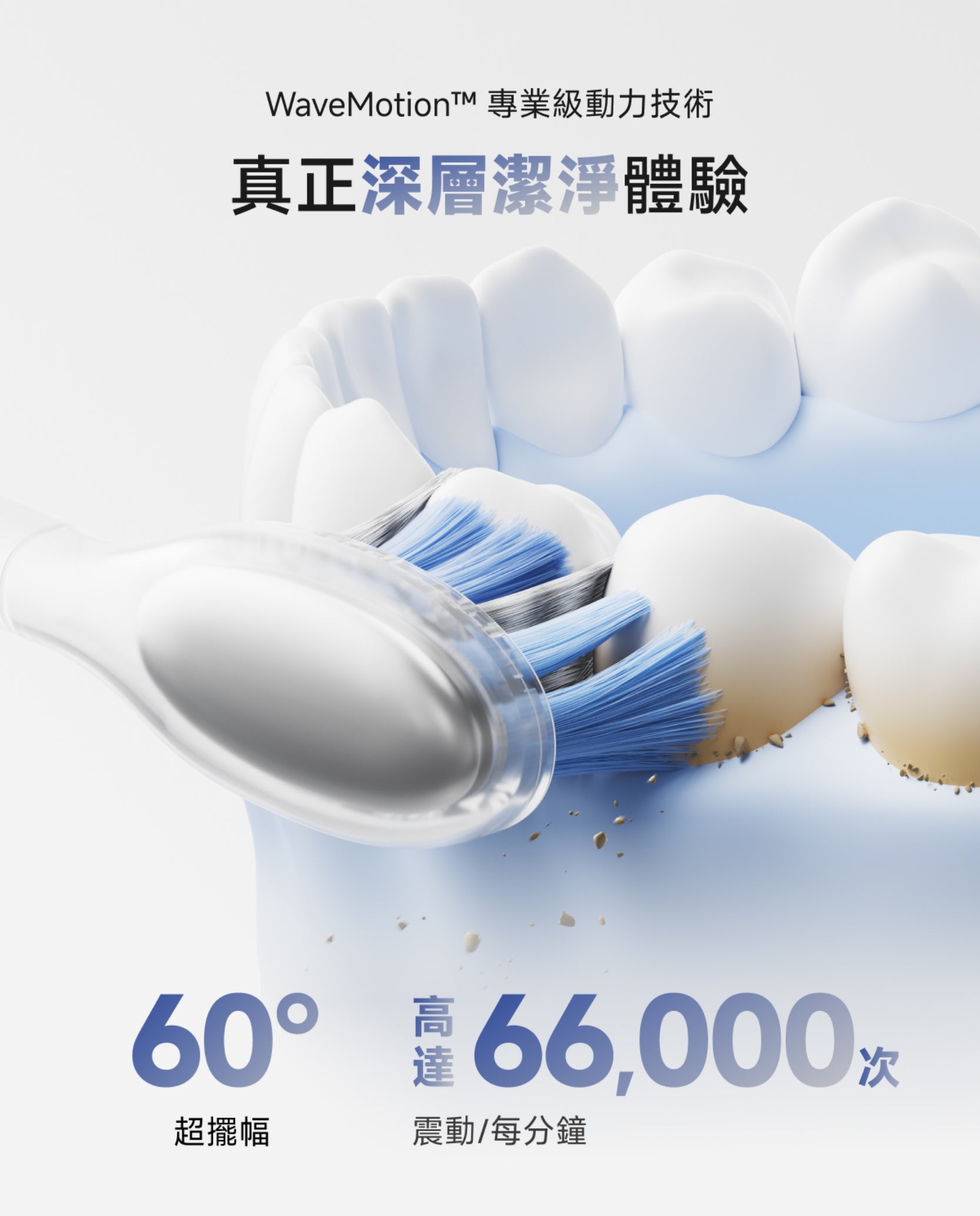 Laifen Wave Pro 電動牙刷3D模擬展示，每分鐘高頻震動與 60° 超大角度擺幅，有效去除牙漬牙石。
