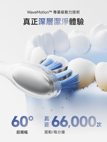 Laifen Wave Pro 電動牙刷3D模擬展示，每分鐘高頻震動與 60° 超大角度擺幅，有效去除牙漬牙石。