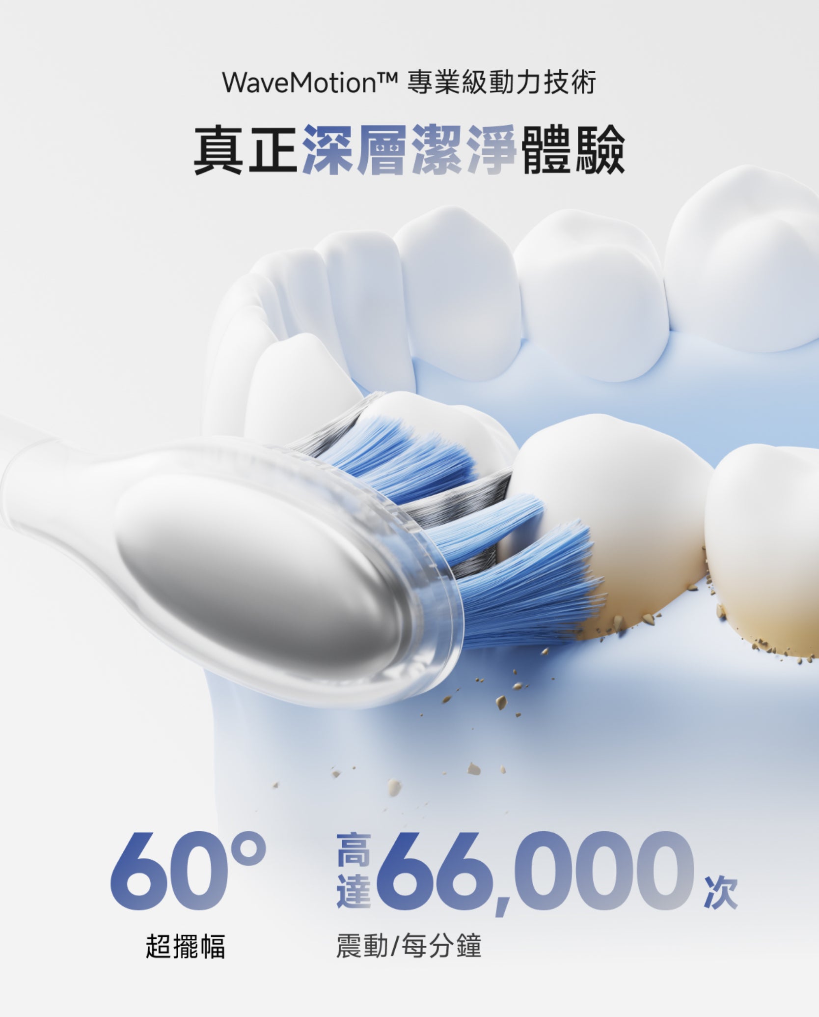 Laifen Wave Pro 電動牙刷3D模擬展示，每分鐘高頻震動與 60° 超大角度擺幅，有效去除牙漬牙石。