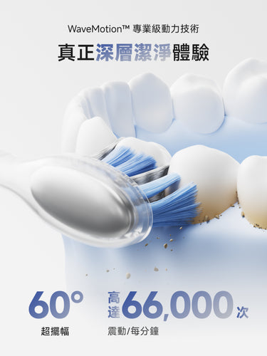 Laifen Wave Pro 電動牙刷3D模擬展示，每分鐘高頻震動與 60° 超大角度擺幅，有效去除牙漬牙石。